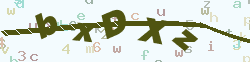 验证码